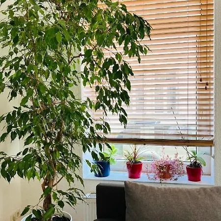 Großes und helles Innenstadt Apartment - Ferienwohnung Bad Homburg vor der Höhe Exterior foto