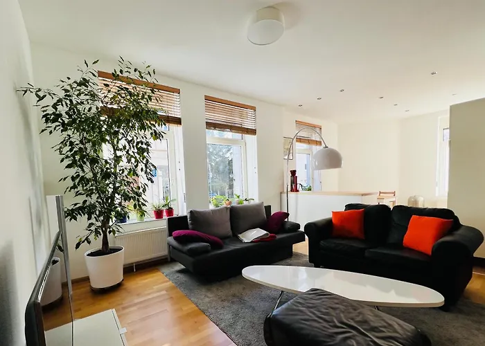Grosses Und Helles Innenstadt Apartment - Ferienwohnung